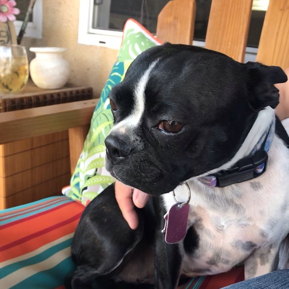 Meet your Posher, Diana - Picture 3 of 6